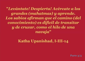 satsang-con-swami-satyananda-saraswati-granollers-barcelona-katha-uppanisha-parte-2