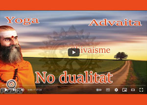Conversem-sobre-NO-DUALITAT-amb-en-Swami-Satyananda-Saraswat-a-Pural-21